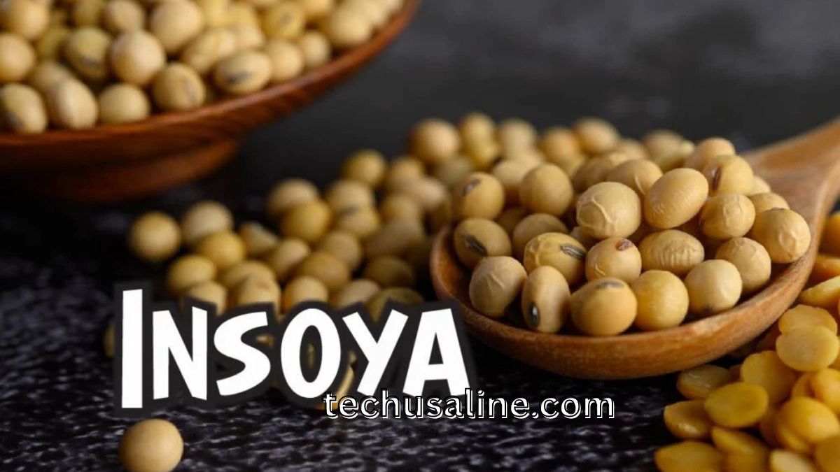 Insoya
